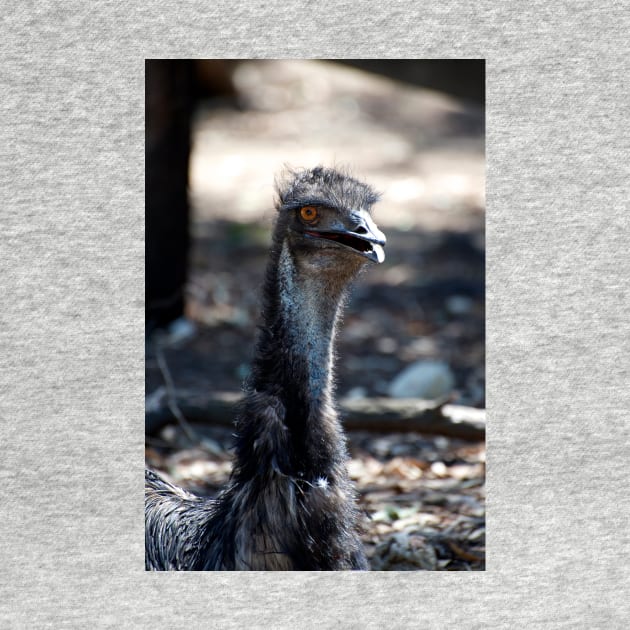 Emu Talking by GP1746